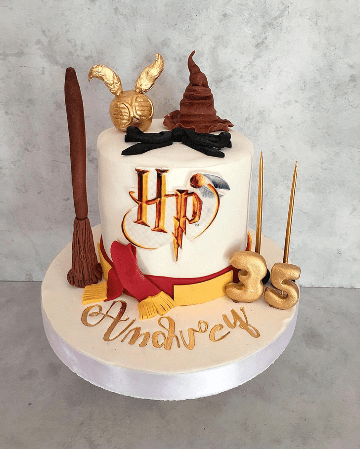 Mesmeric Harry Potter Cake