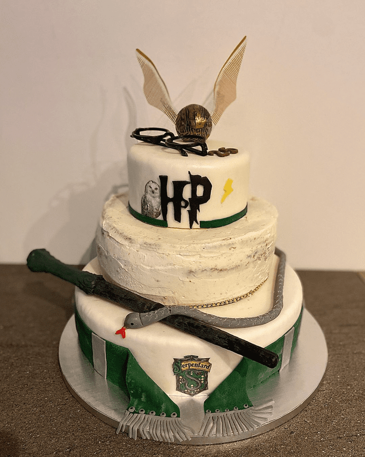 Nice Harry Potter Cake
