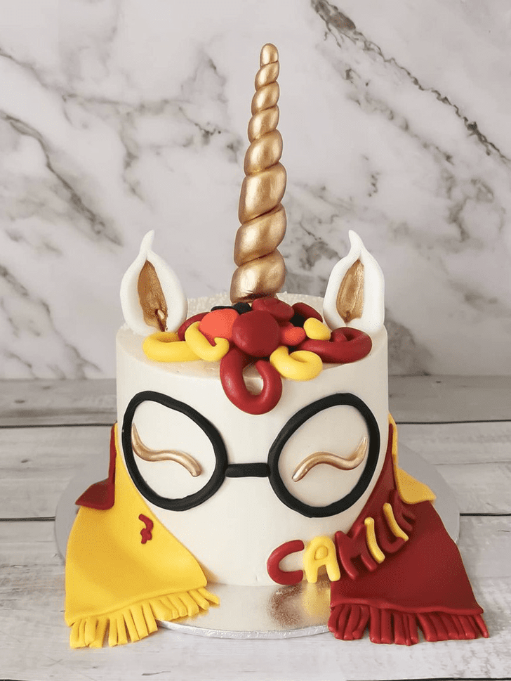 Refined Harry Potter Cake