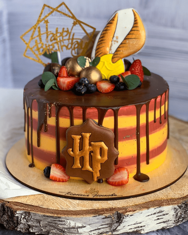 Splendid Harry Potter Cake