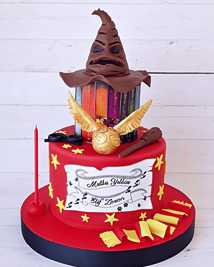 Superb Harry Potter Cake