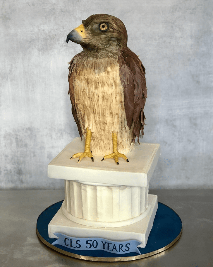 Angelic Hawk Cake