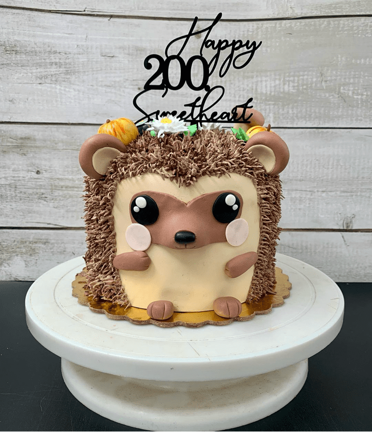 Appealing Hedgehog Cake