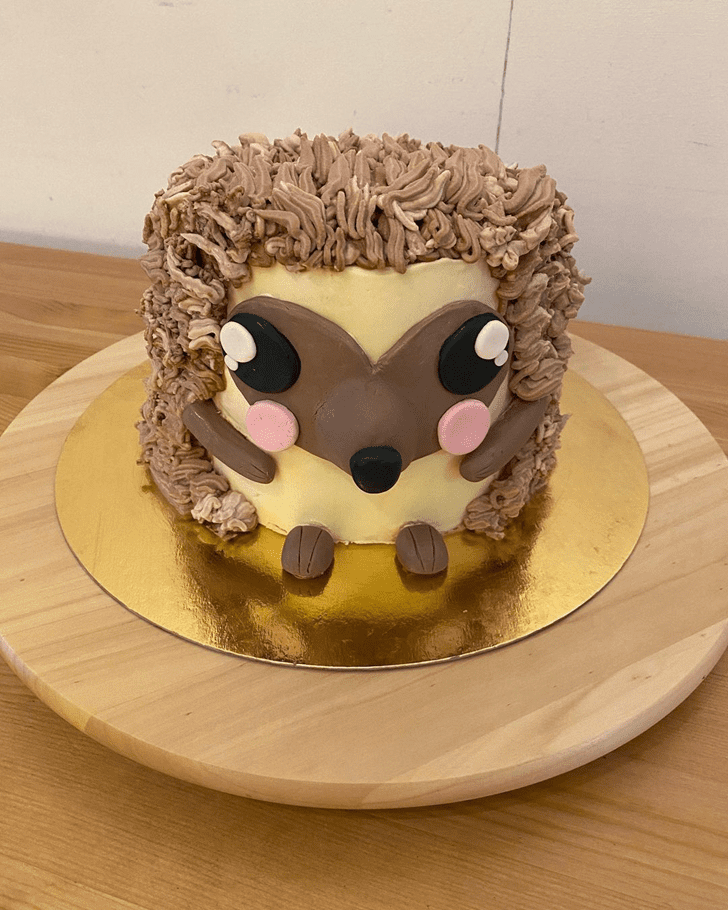 Beauteous Hedgehog Cake