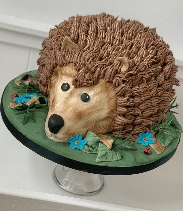 Comely Hedgehog Cake