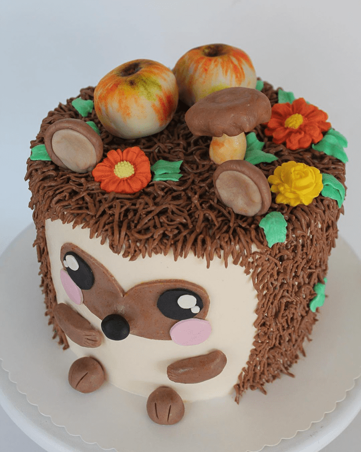 Gorgeous Hedgehog Cake