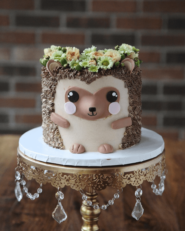 Handsome Hedgehog Cake