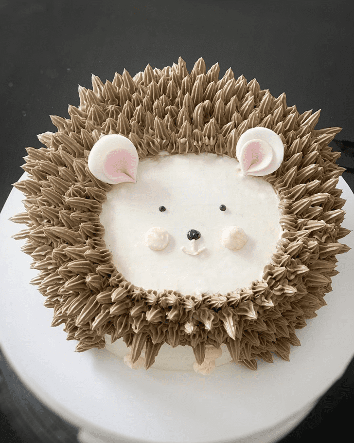 Lovely Hedgehog Cake Design
