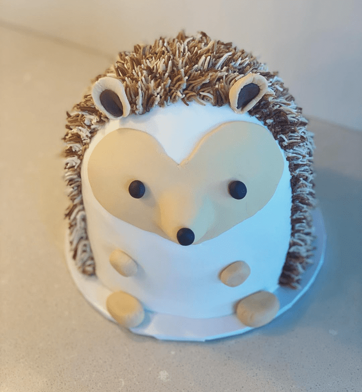 Magnificent Hedgehog Cake