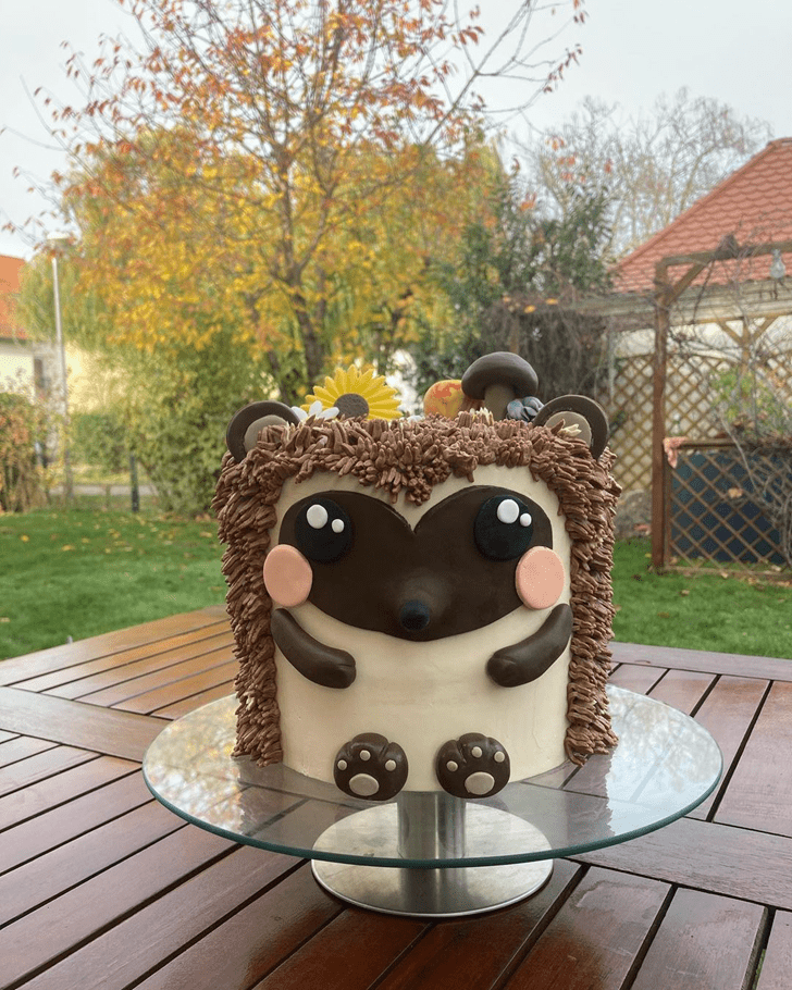 Marvelous Hedgehog Cake