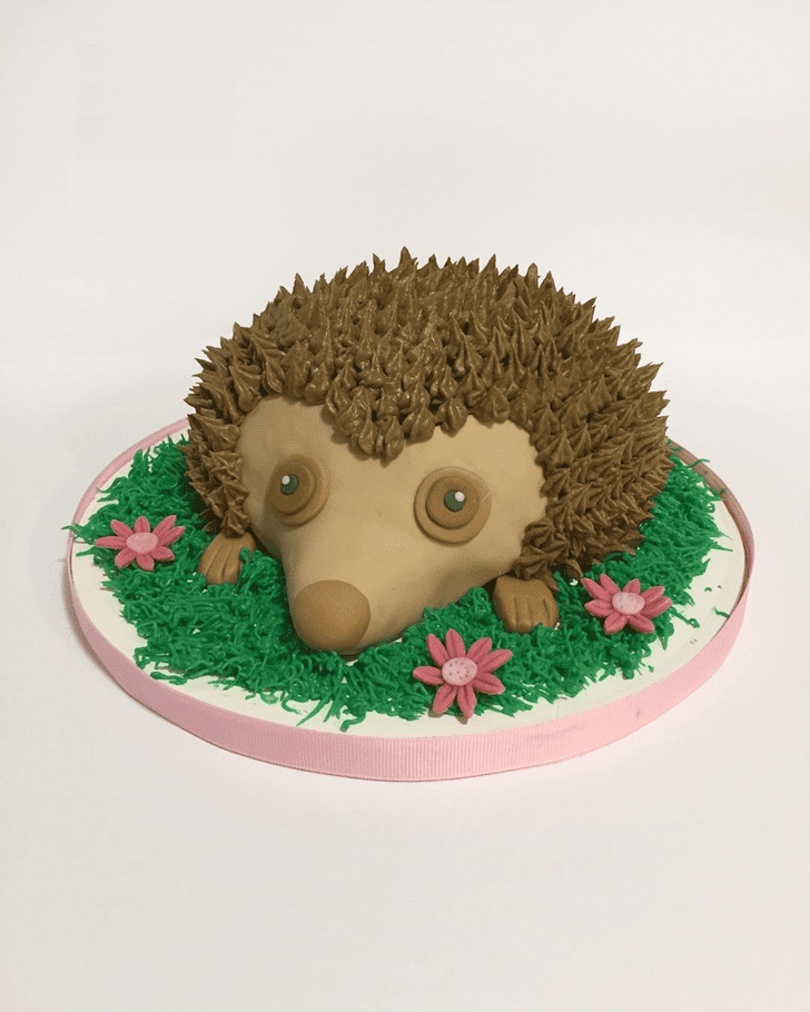 Radiant Hedgehog Cake