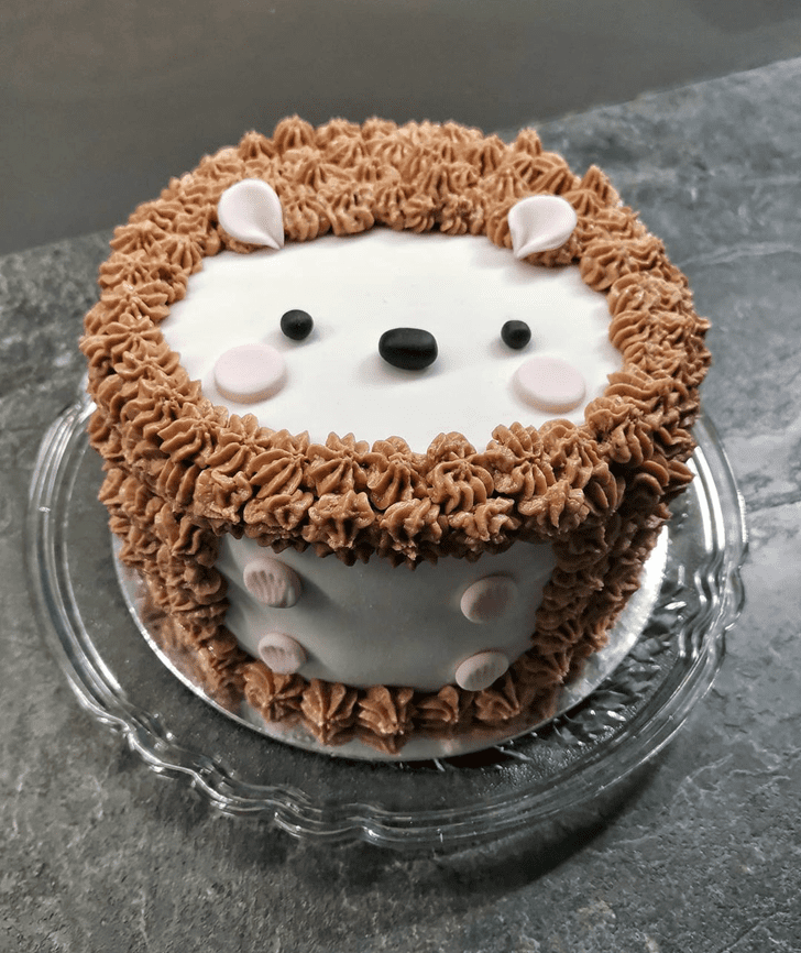Slightly Hedgehog Cake