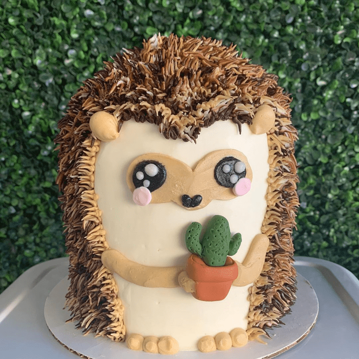 Superb Hedgehog Cake