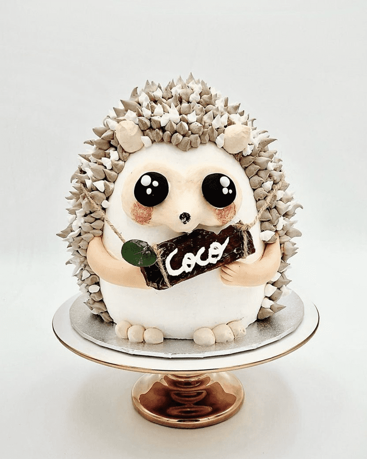 Wonderful Hedgehog Cake Design