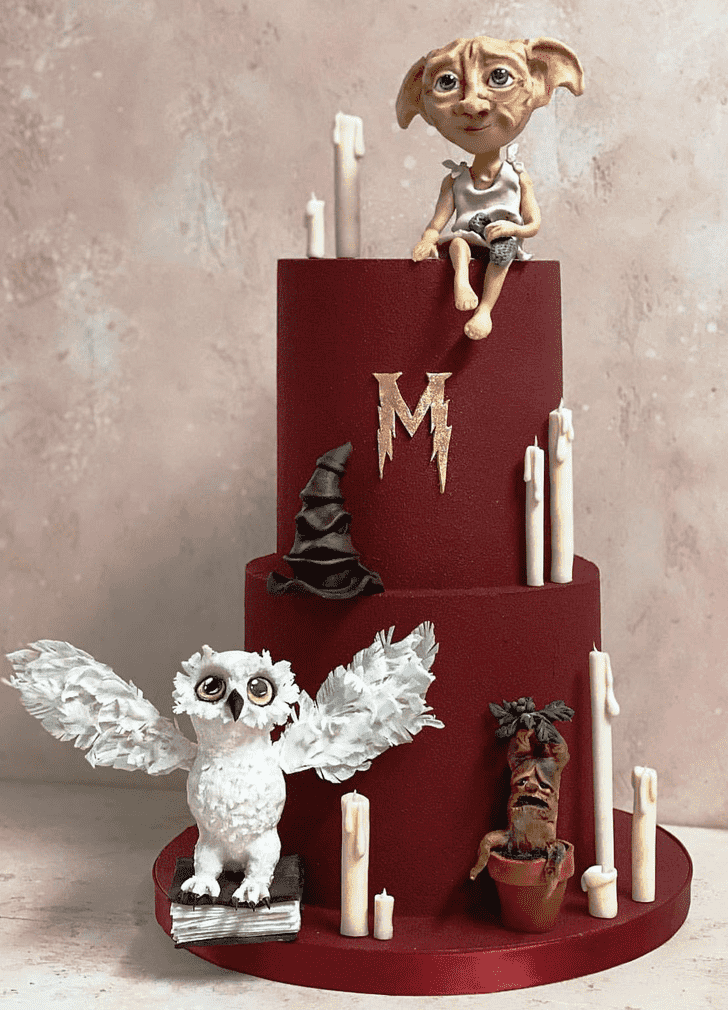 Admirable Hedwig Cake Design