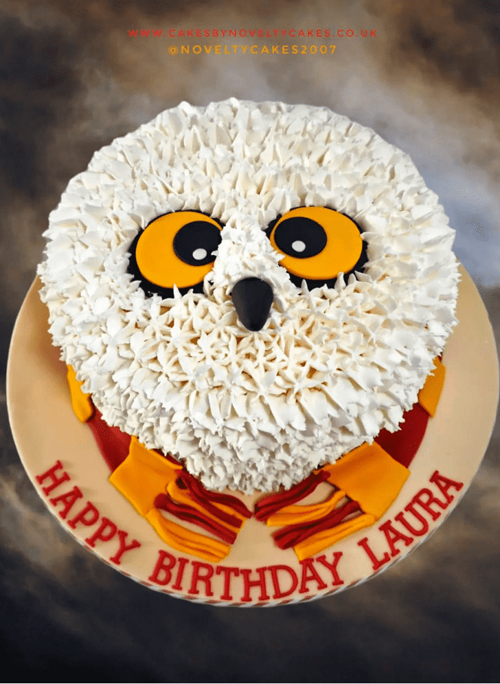 Captivating Hedwig Cake