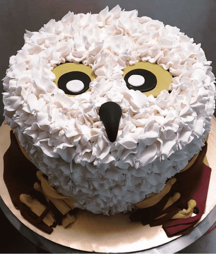 Charming Hedwig Cake