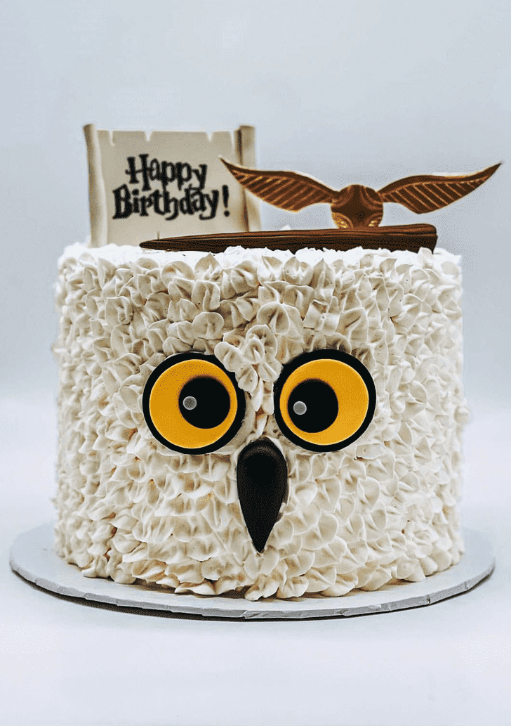 Cute Hedwig Cake