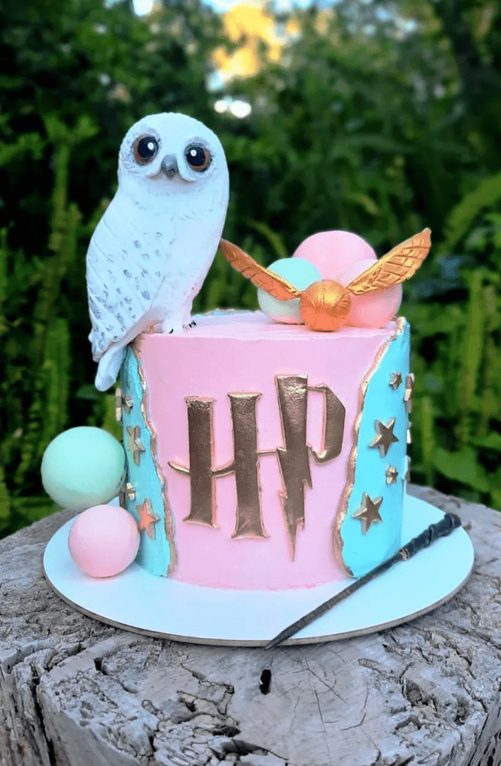 Excellent Hedwig Cake