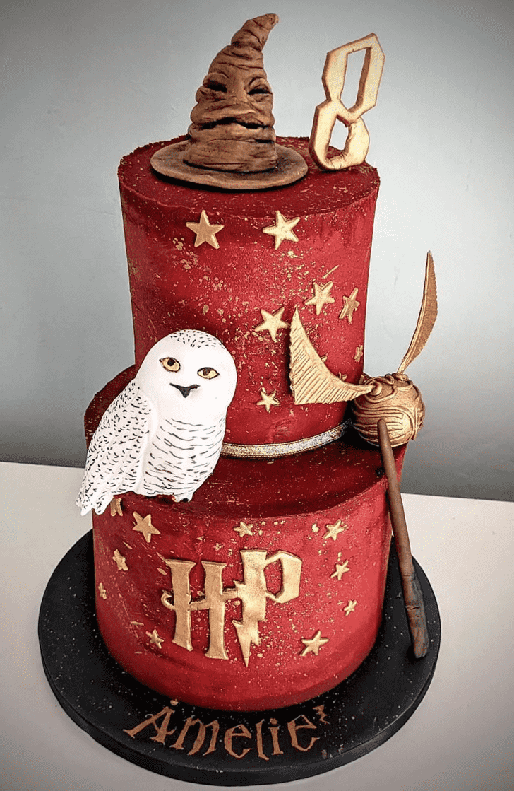 Good Looking Hedwig Cake