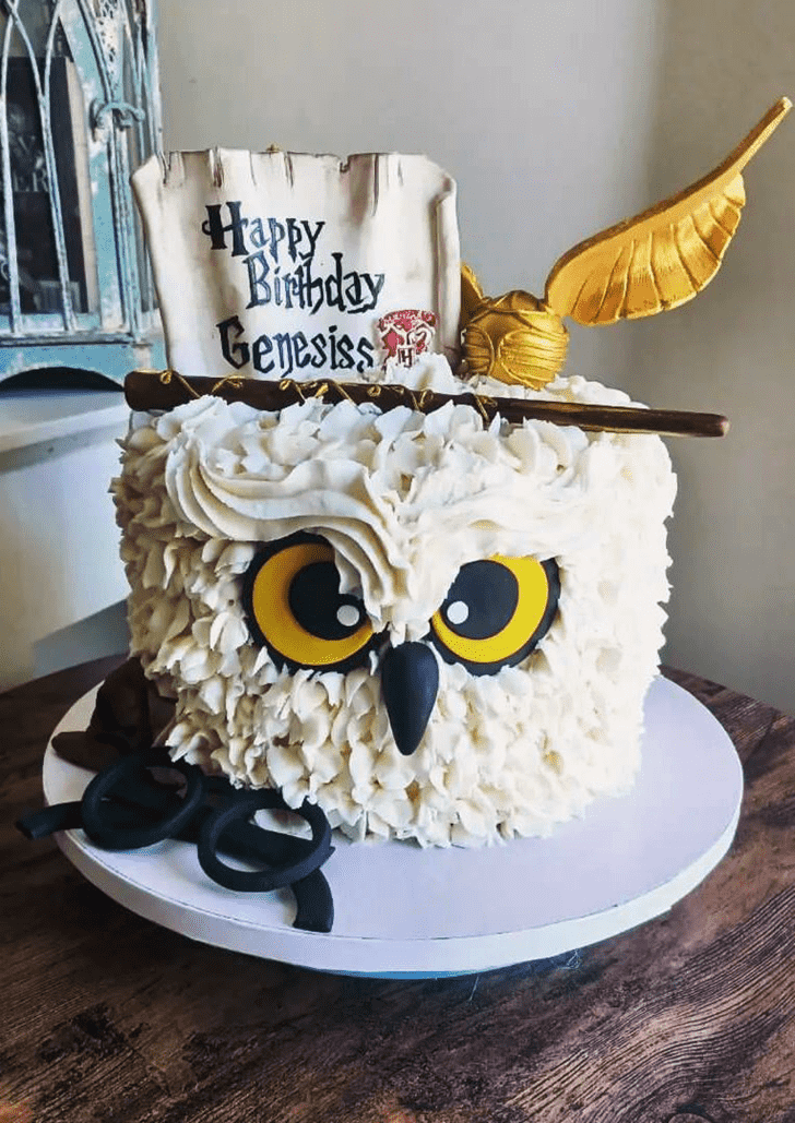 Handsome Hedwig Cake