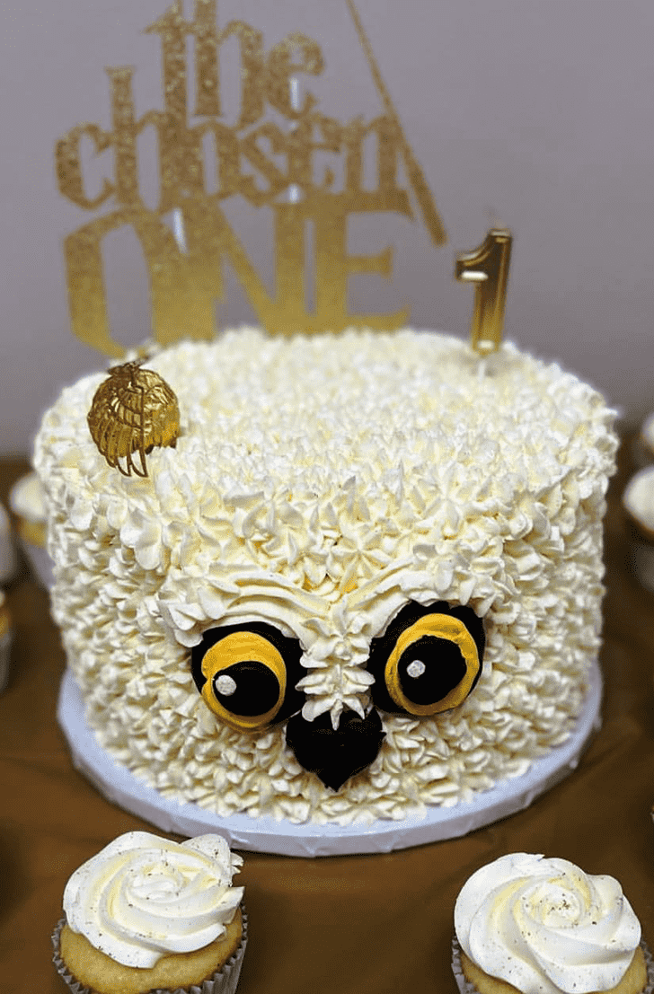 Ideal Hedwig Cake