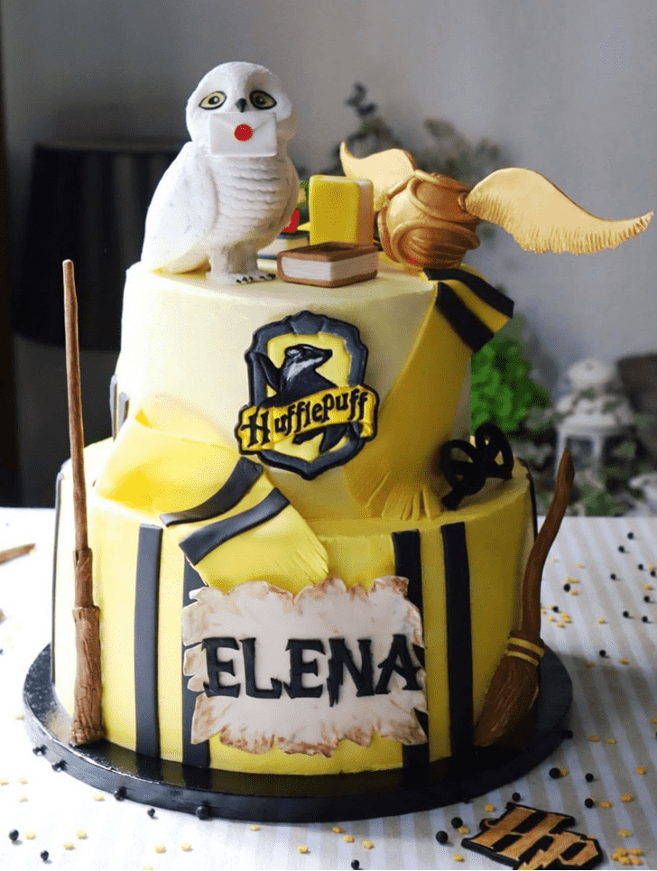 Magnificent Hedwig Cake