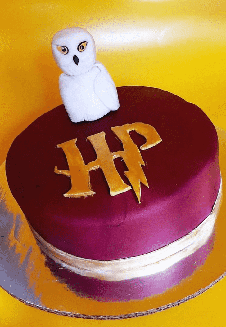 Marvelous Hedwig Cake