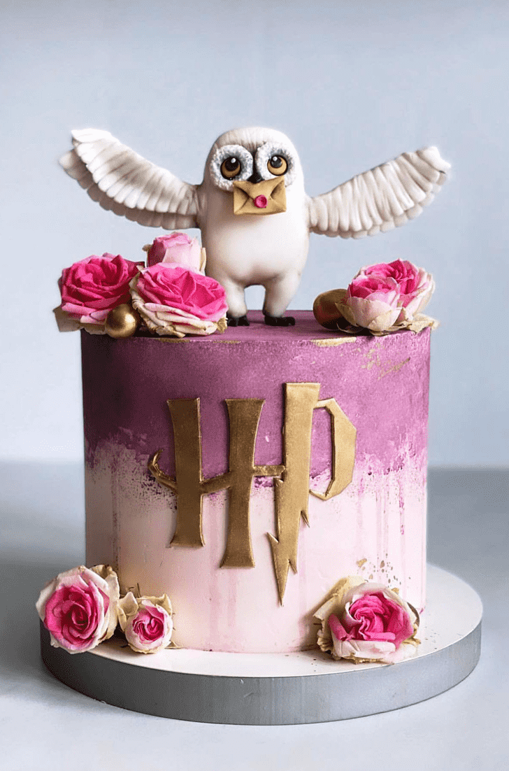 Nice Hedwig Cake