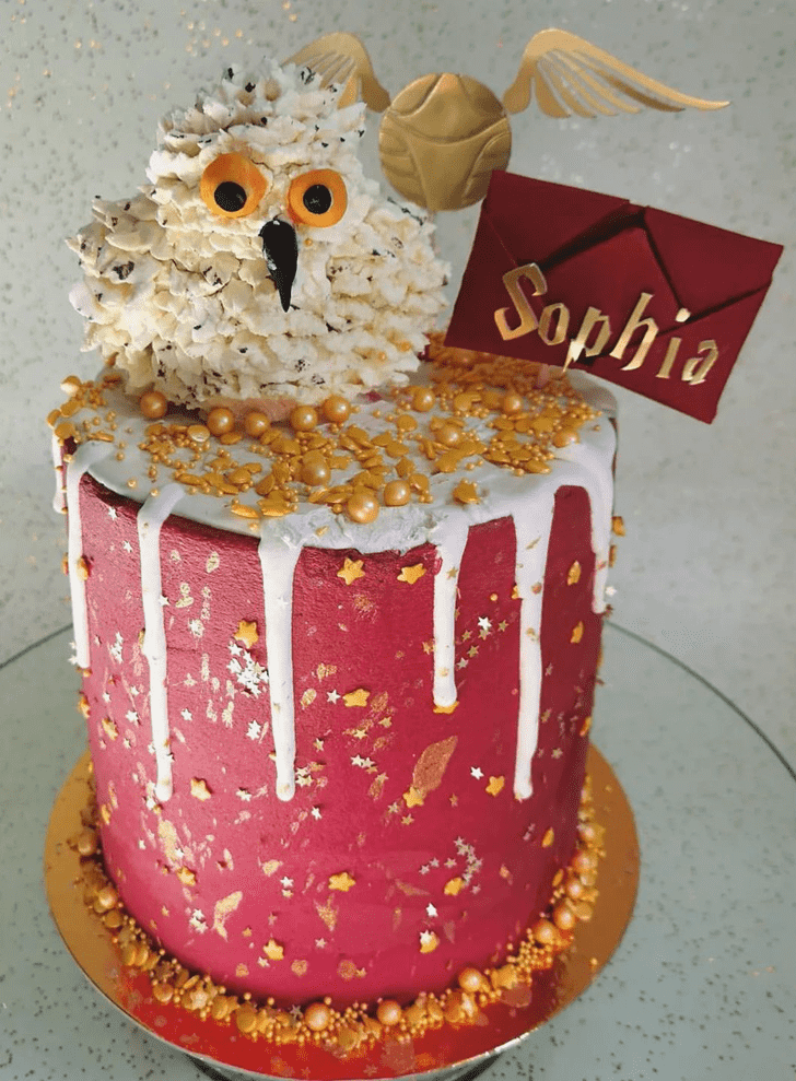 Superb Hedwig Cake