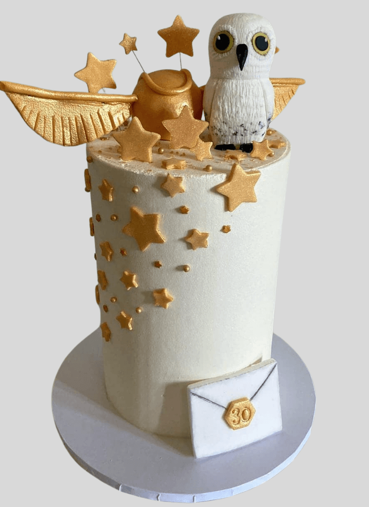 Classy Hedwig Cake