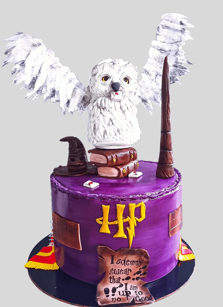 Mesmeric Hedwig Cake