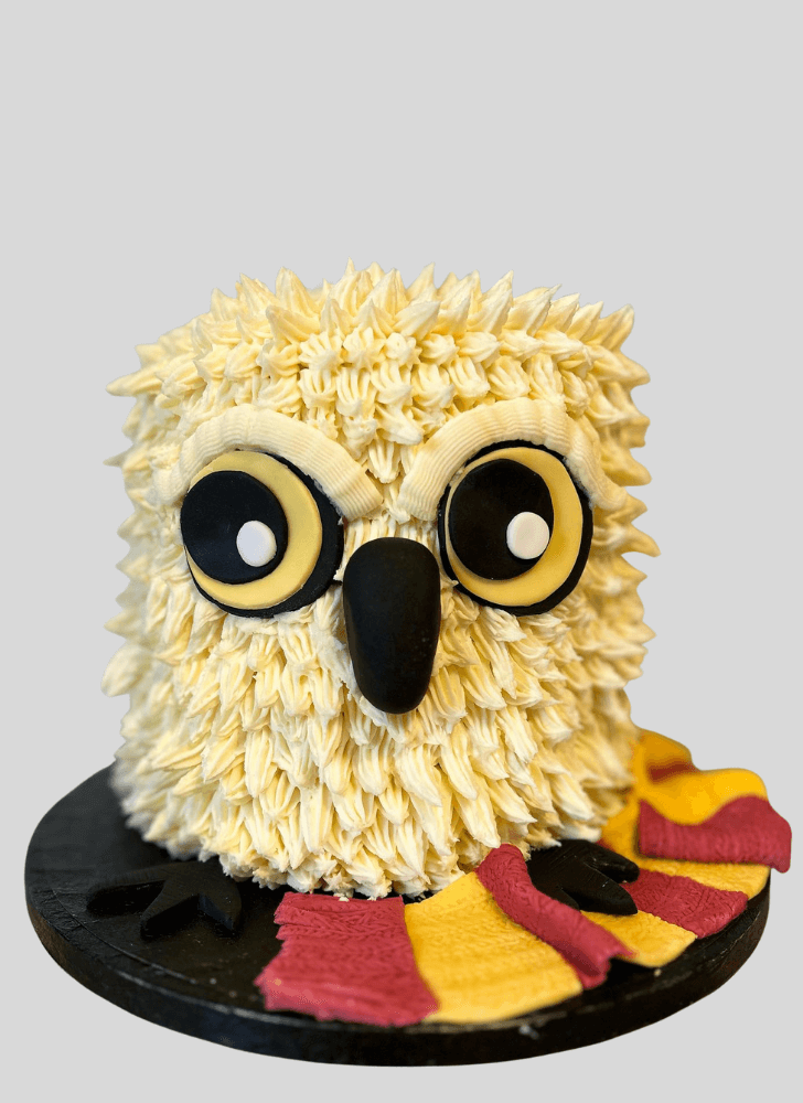 Resplendent Hedwig Cake