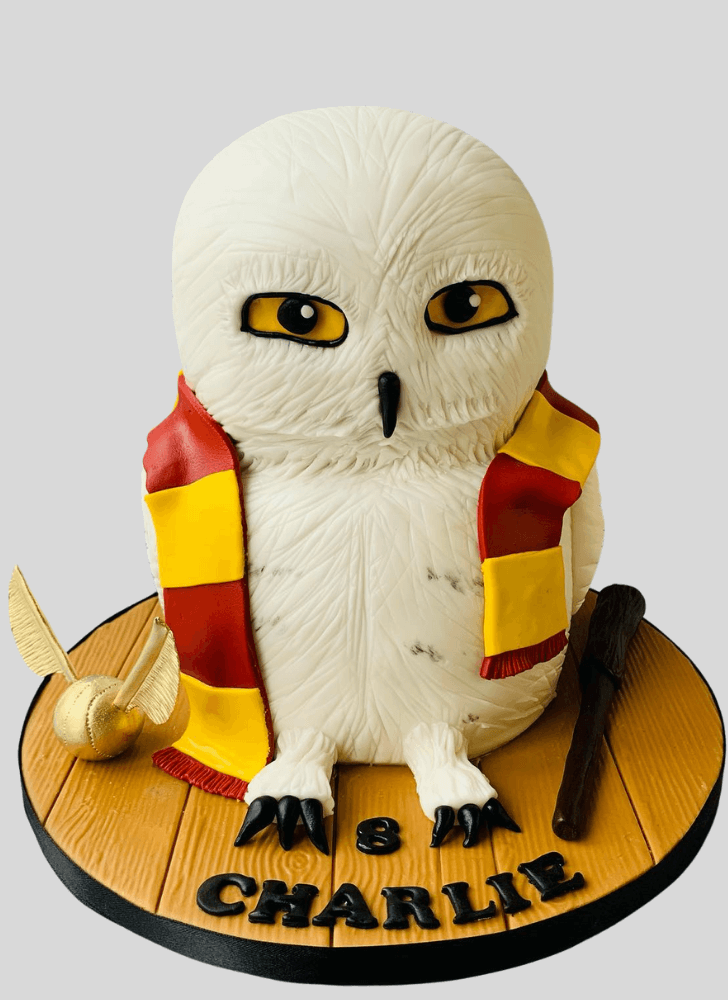 Shapely Hedwig Cake