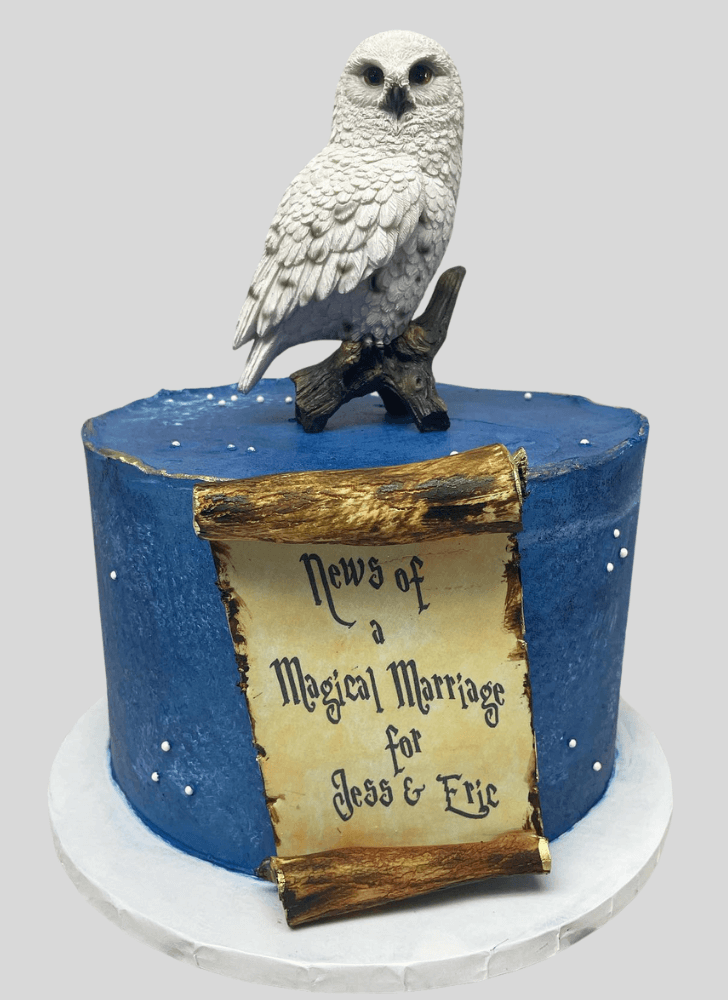Slightly Hedwig Cake