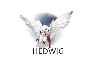 Hedwig Cake Design