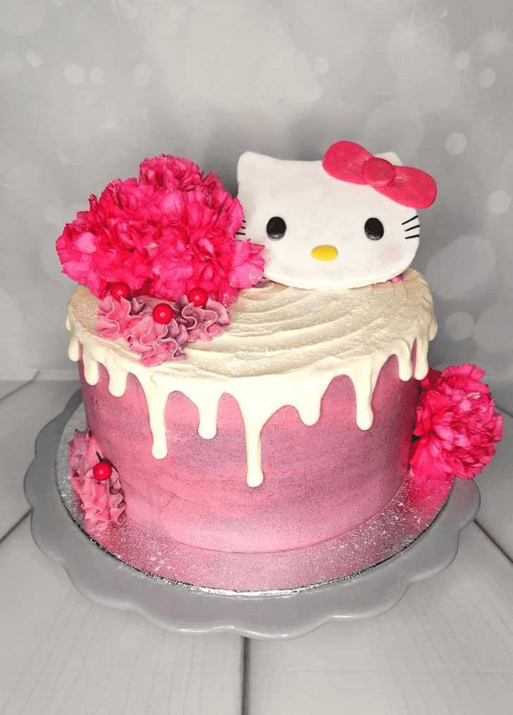 Magnetic Hello Kitty Cake