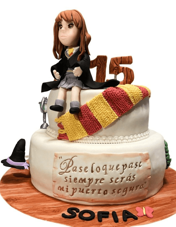 Cute Hermione Granger Cake