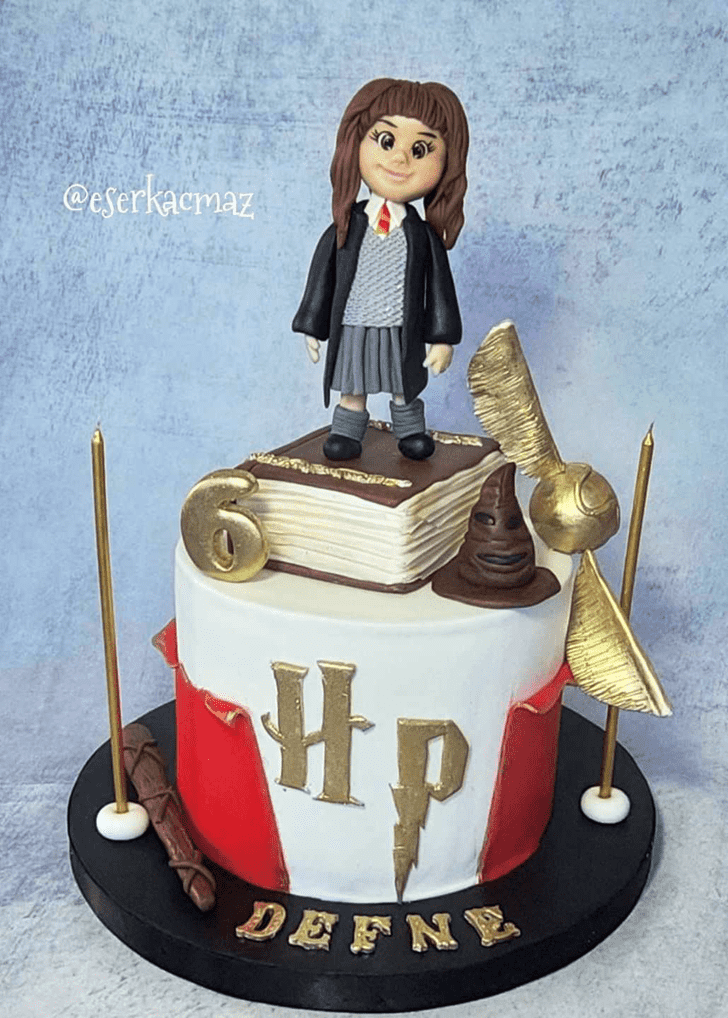Enthralling Hermione Granger Cake
