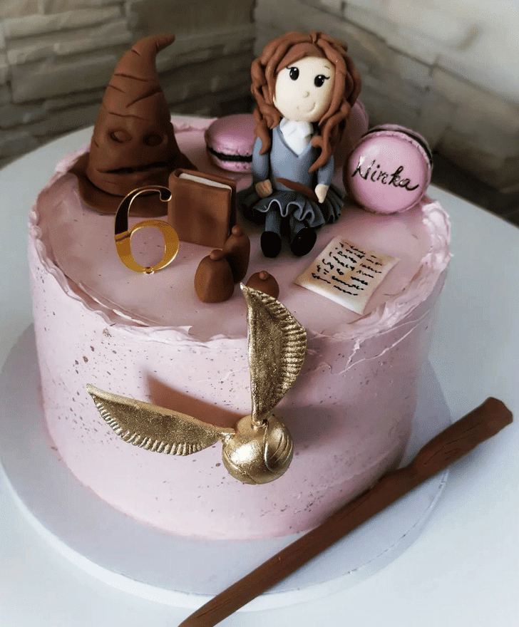 Ideal Hermione Granger Cake