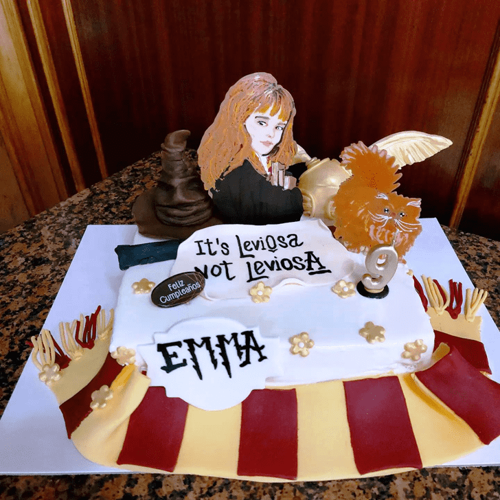 Magnetic Hermione Granger Cake