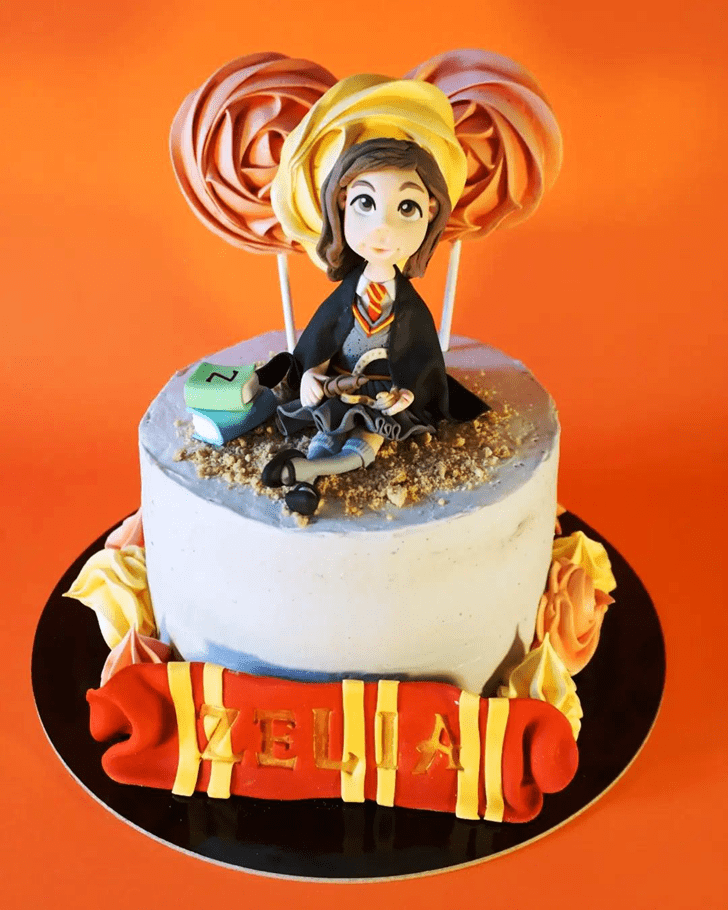 Nice Hermione Granger Cake