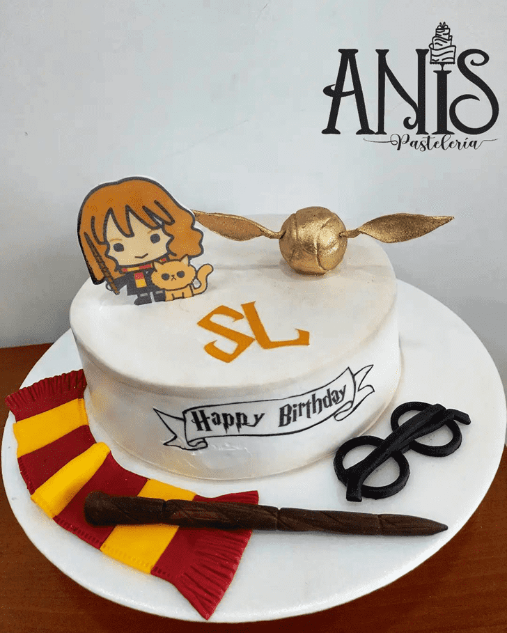 Superb Hermione Granger Cake