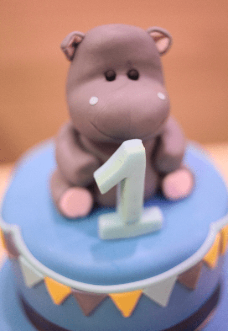 Admirable Hippopotamus Cake Design