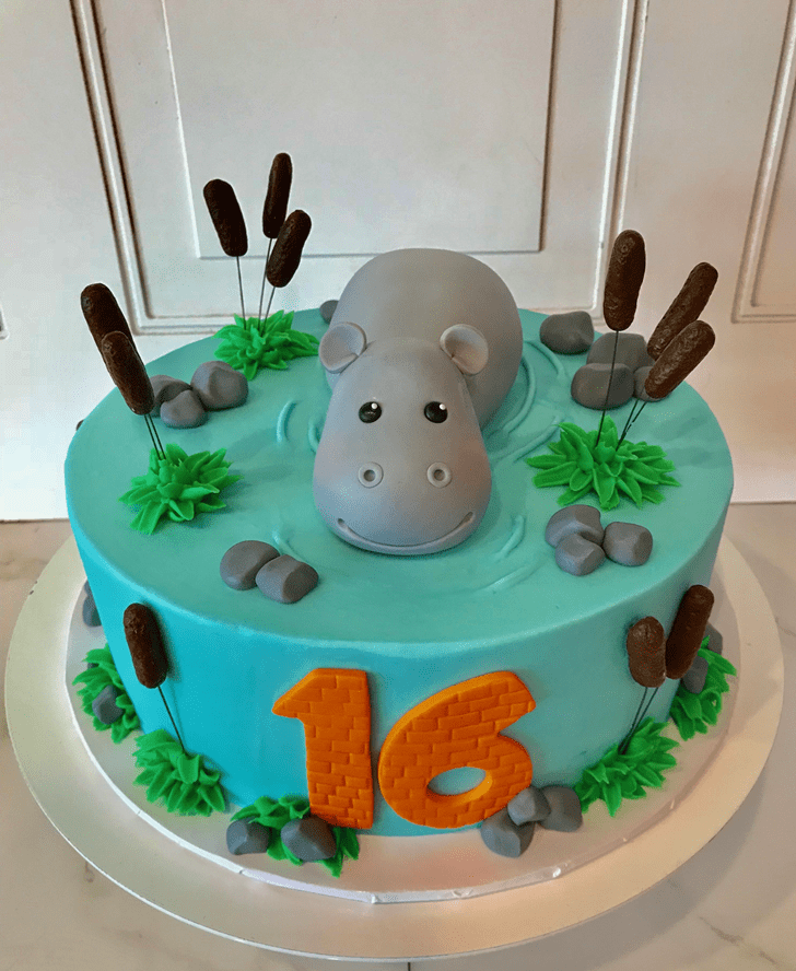 Charming Hippopotamus Cake