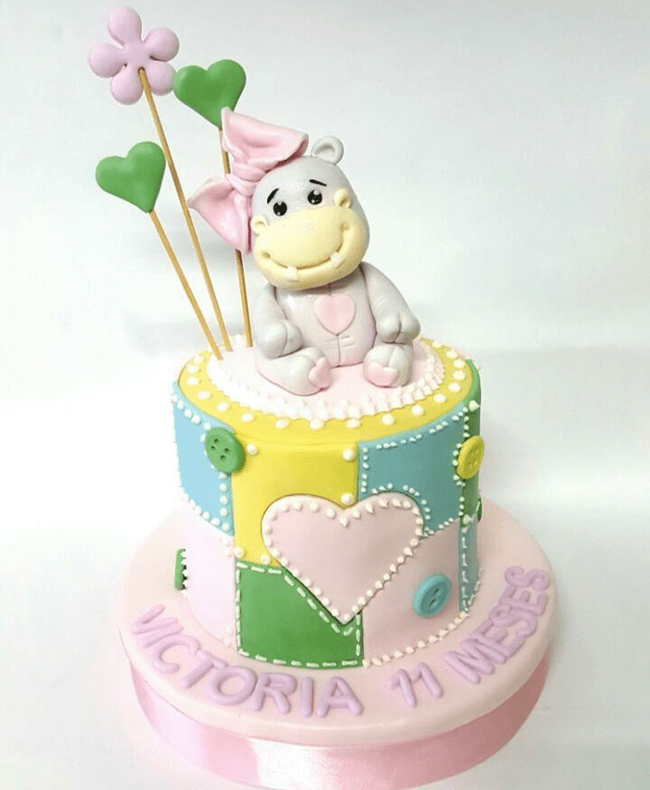 Cute Hippopotamus Cake