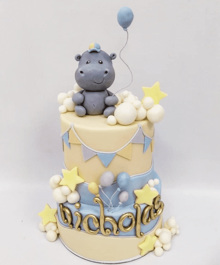 Delicate Hippopotamus Cake