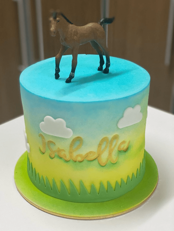 Magnetic Horse Cake
