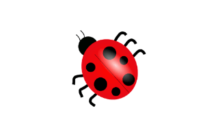 Insects Cake Design