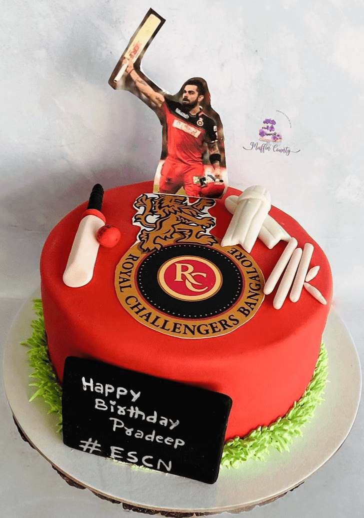 Comely IPL Cake